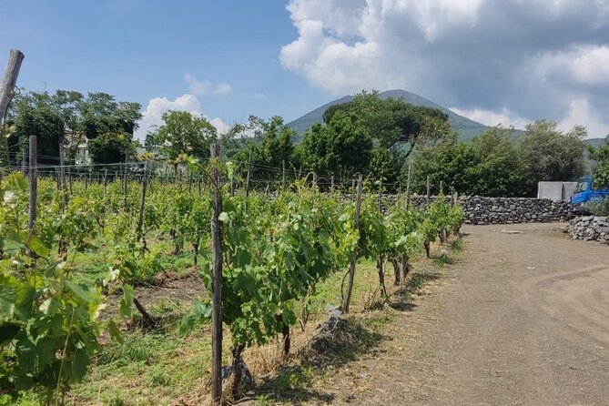 Pompeii & Wine Tasting : Private Day Trip from Naples - What the private vehicle adds