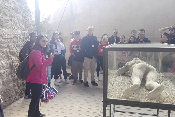 Pompeii with Wine Tasting and Lunch from Naples - The Pompeii entrance fee needs planning