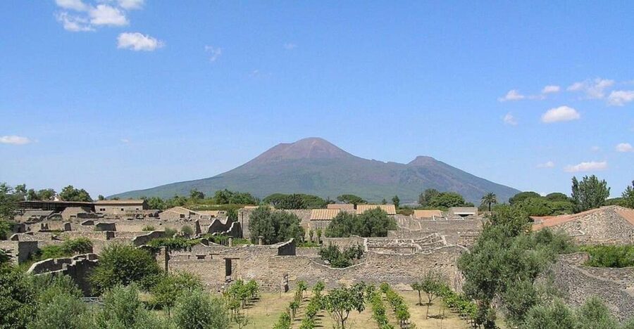 Pompeii with Wine Tasting Private Tour - Pompeii first, wine afterward