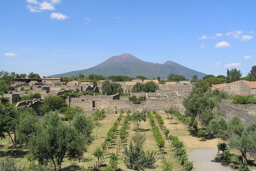 Pompeii with Wine Tasting Private Tour - From ancient streets to Mount Vesuvius vineyards