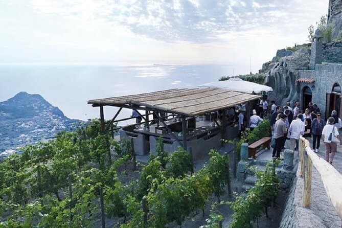 Premium Ischia Wine Tasting Experience with Transfer Included - The morning transfer and arrival at the winery
