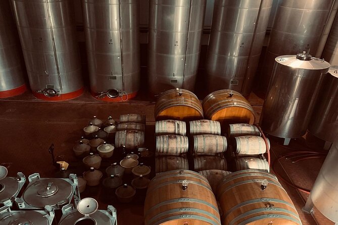 Premium Ischia Wine Tasting Experience with Transfer Included - Four wines with an Ischian point of view