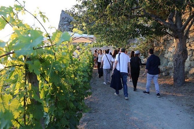 Premium Ischia Wine Tasting Experience with Transfer Included - Is $150.10 a fair price?