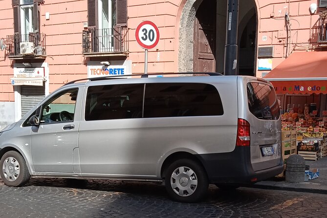 Private day tour: Pompei and Herculenium. - Price and what you actually receive
