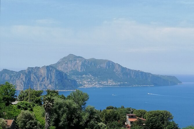 Private day tour: Pompei,Vesuvius and Herculaneum. - Lunch, wine, and the midday pause
