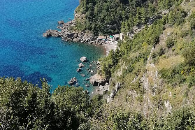 Private day tour: Pompeii, Sorrento and Positano. - Sorrento: start with the old town