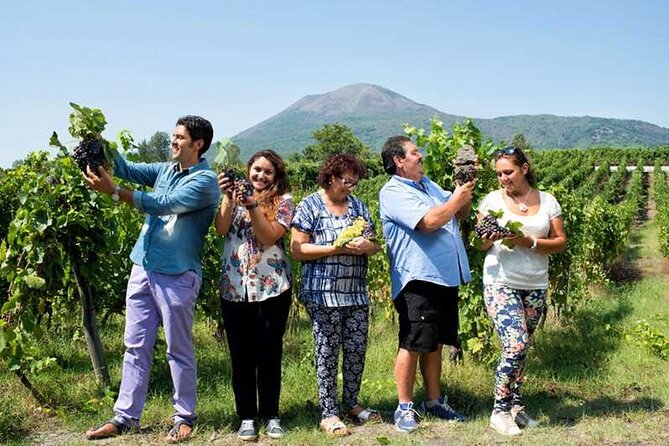 Private day tour: Sorrento, Positano, Amalfi and Ravello. - Ravello trades the shore for hilltop views