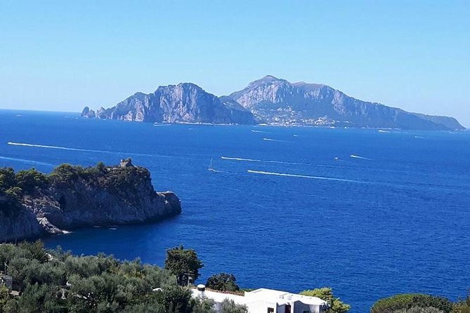Private Exclusive Tour of Positano & Sorrento + Farmhouse Lunch - The drivers and the human side of the day