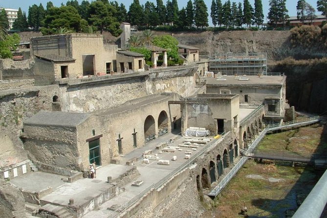 Private Full-Day Tour to Pompeii and Mt. Vesuvius with Winery Visit - Price and value at $300.73 per person