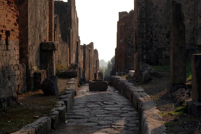 Private Guided Tour in Pompeii - From Naples to the ruins in 30 to 40 minutes