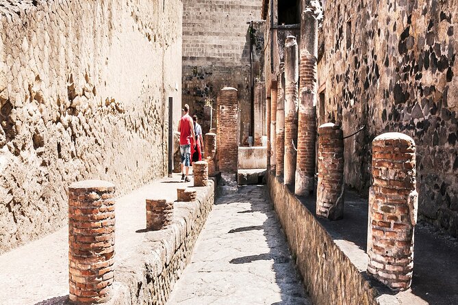 Private Guided Tour in Pompeii - The guide makes the short visit count
