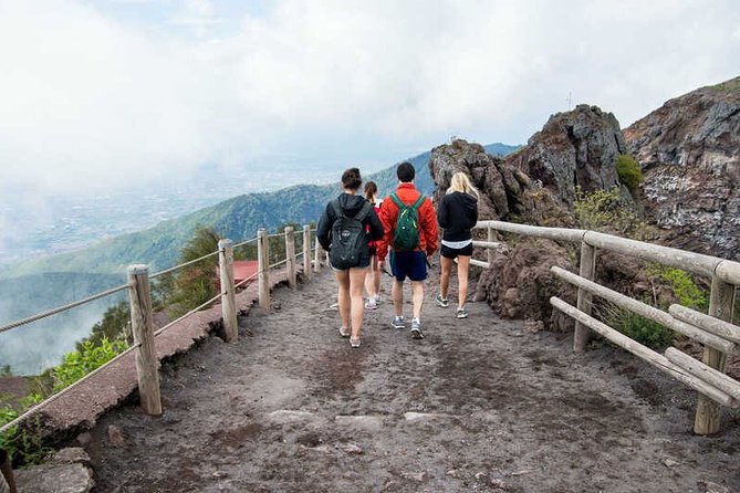 Private Half-Day Sightseeing Tour of Vesuvius National Park - A private pickup that removes the hard part