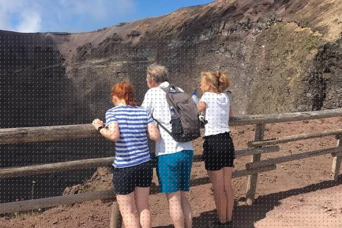 Private Half-Day Sightseeing Tour of Vesuvius National Park - Reaching the Vesuvius National Park entrance