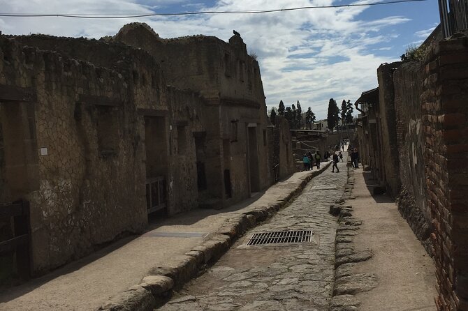 Private Herculaneum Tour for Kids and Families - Is two hours enough?