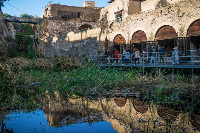 Private Herculaneum Tour – Top Experience with Local Guide - Optional lunch at Cantina del Vesuvio