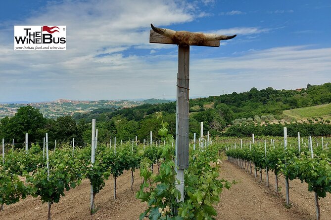 Private Irpinia Wine Tour from NAPLES with sommelier - Azienda Agricola Adelina Molettieri and the second tasting