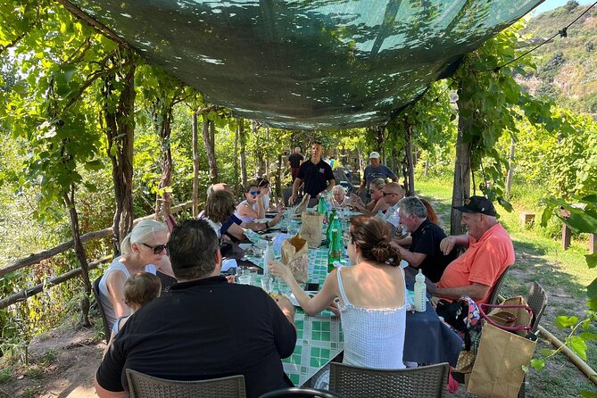Private Natural Wine Vs Byodinamic and Organic Wine Tour - Learning the difference between natural, organic, and biodynamic wine