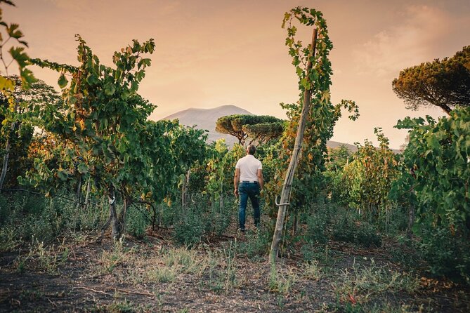 Private Natural Wine Vs Byodinamic and Organic Wine Tour - Farm-to-table lunch and food pairing
