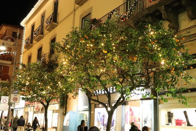 Private Night Transfer Amalfi Coast to Naples. - Booking, timing, and cancellation