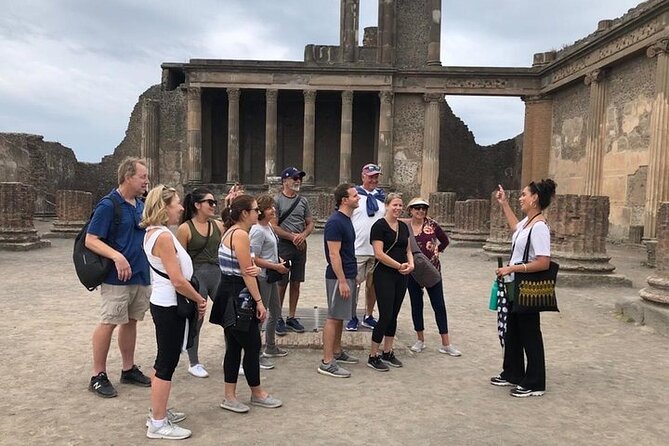 Private Pompeii, Herculaneum and Winery Tour from Naples - What your driver does, and what your driver does not do
