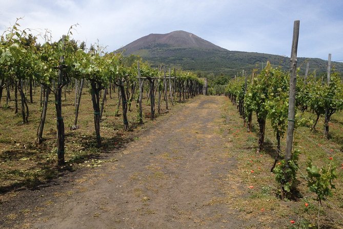 Private Pompeii, Herculaneum and Winery Tour from Naples - Herculaneum in two hours: Smaller, sharper, and easier to read