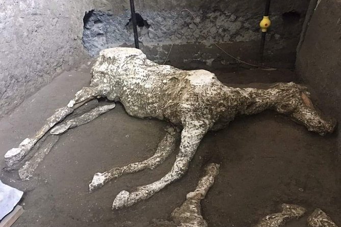 Private Pompeii Tour With Guide and Transfer Included - Pompeii’s Forum, the center of civic life