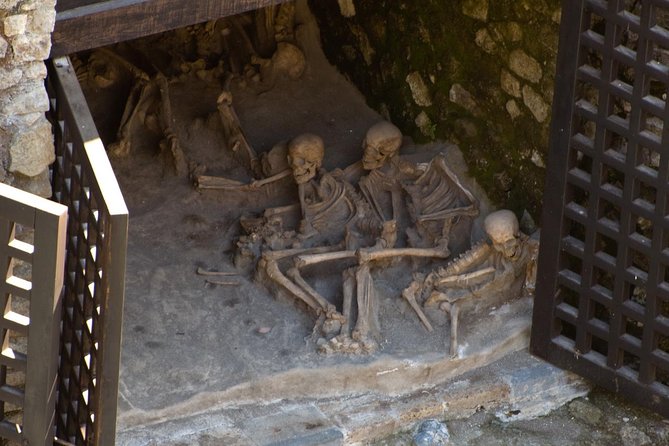 Private Tour: Day Trip Excursion to Herculaneum, Positano and Sorrento - Key points to know before booking