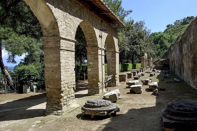 Private Tour from Naples to Phlegrean Fields, Pozzuoli, and Cuma - A driver-led day, not a guided archaeological tour