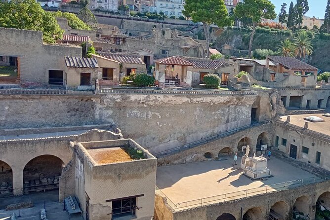 Private Tour in Herculaneum with an authorized guide - Key points to know before booking