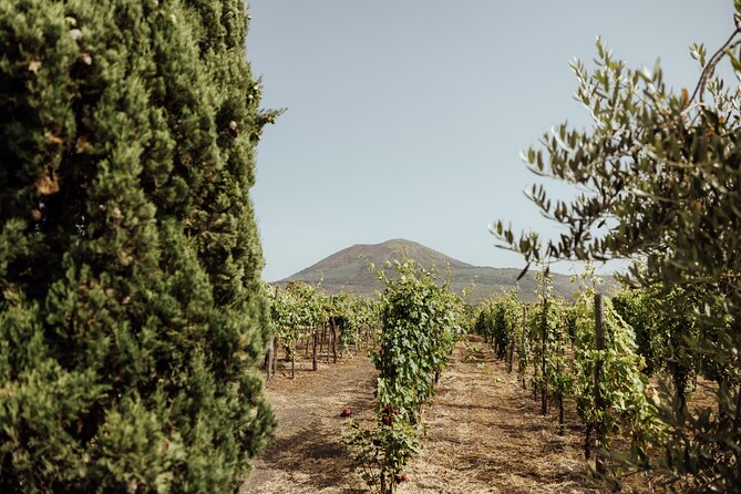 Private Tour in Pompeii and Vesuvius - Should you book the Pompeii and Vesuvius day?