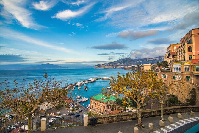 Private Tour in Pompeii Sorrento and Positano - Who will get the most from this tour