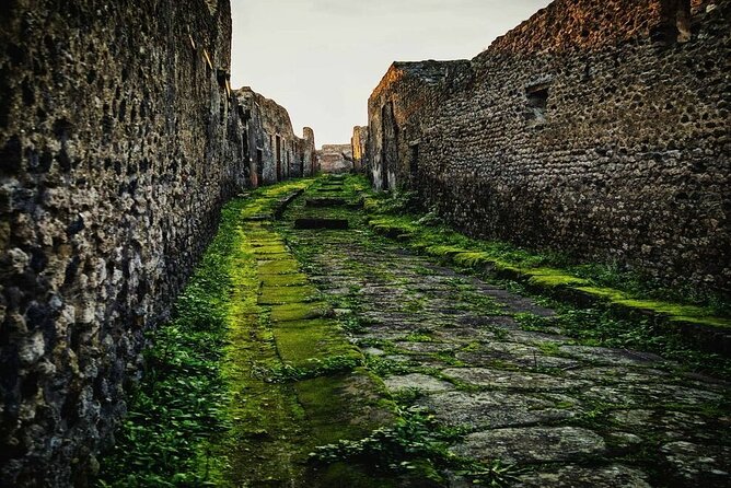 Private Tour Pompeii and Sorrento from Naples - Raffaele and the value of a private driver