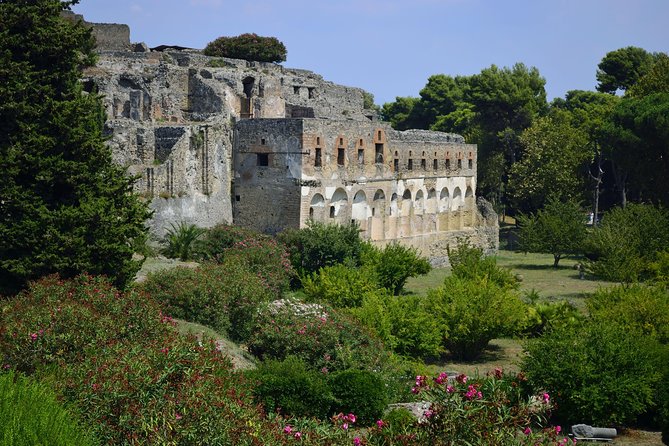 Private Tour: Pompeii Half-Day Trip from Naples - The Forum, Temple of Apollo, and Macellum