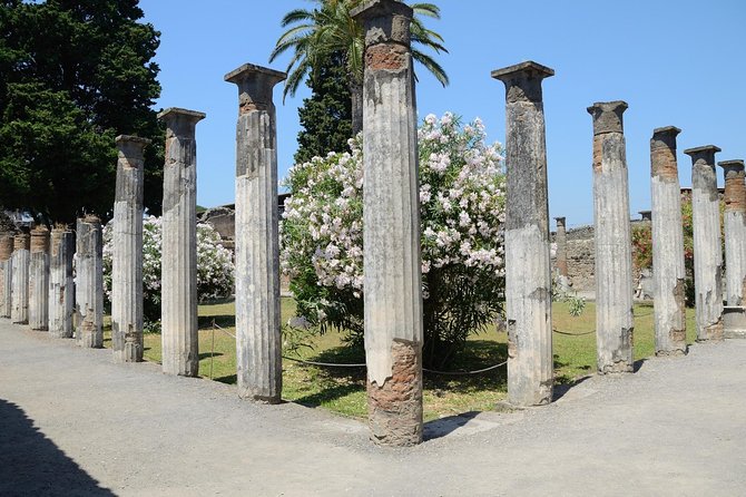 Private Tour Rome to Pompeii in private vehicle or fast train - Entering Pompeii with skip-the-line admission