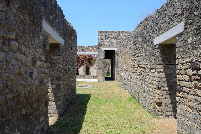 Private Tour Rome to Pompeii in private vehicle or fast train - Lunch in modern Pompeii