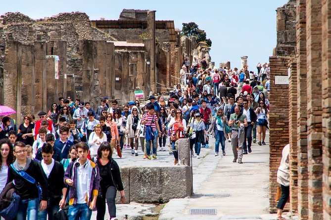 Private tour to Pompeii Herculaneum and Vesuvius - Pompeii in two hours: a fast look at a vast Roman city