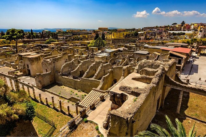 Private tour to Pompeii Herculaneum and Vesuvius - The driver service and what you actually receive
