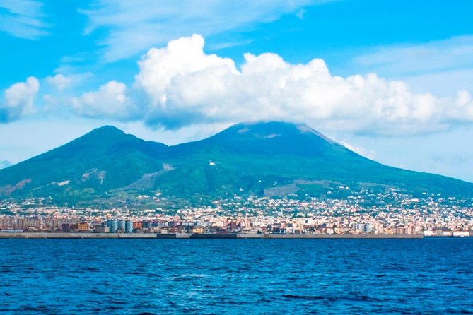 Private tour to Pompeii Herculaneum and Vesuvius - Timing, traffic, and how to protect the final stop