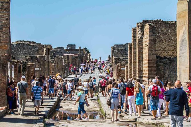 Private tour to Pompeii Herculaneum and Vesuvius - Who should book this tour