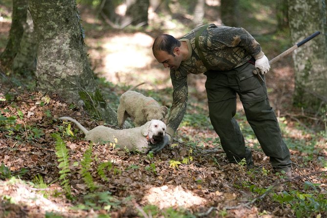 Private Tour: Truffle-Hunting Experience from Naples with Lunch - From Naples to the Mountains of Campania