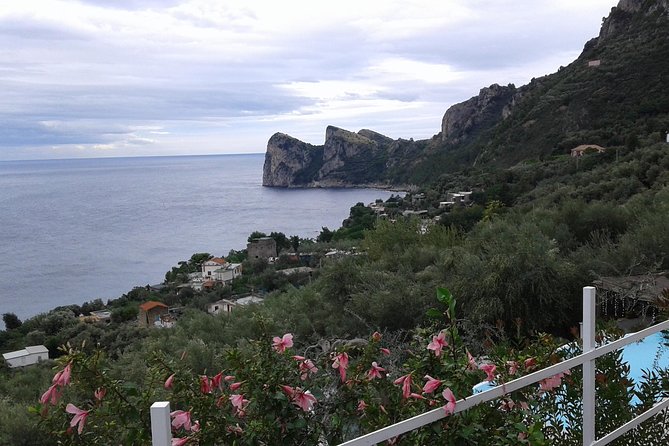 Private Tours | Amalfi coast & Pompeii Ruins - Amalfi: free time, sea views, and a possible swim