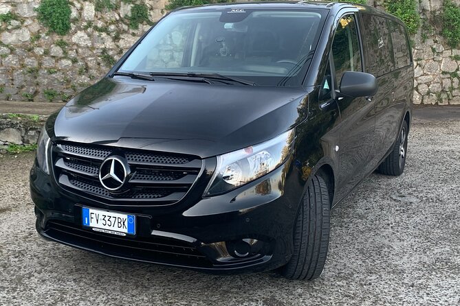 Private Transfer From Naples to Ravello/Sorrento stop at Pompeii - Cancellation and booking details worth noting