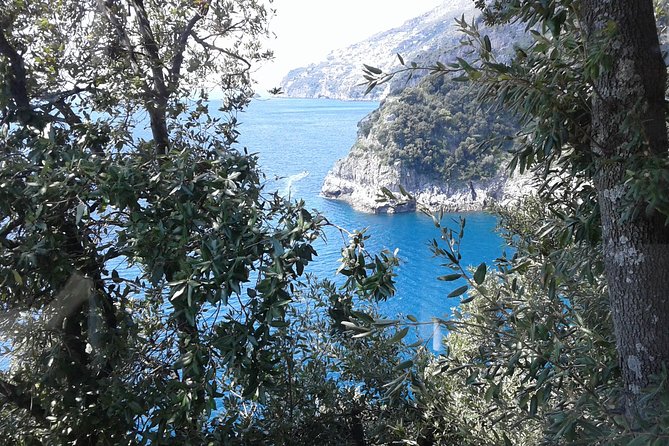 Private Transfer From Naples to Ravello/Sorrento stop at Pompeii - Sergio and the value of a private driver