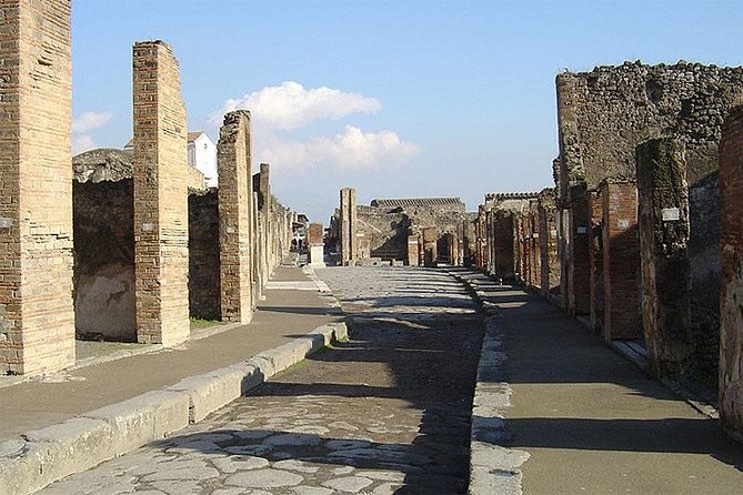 Private Transfer from Naples to Sorrento with Stop at Pompeii - The biggest issue: self-guided or guided Pompeii