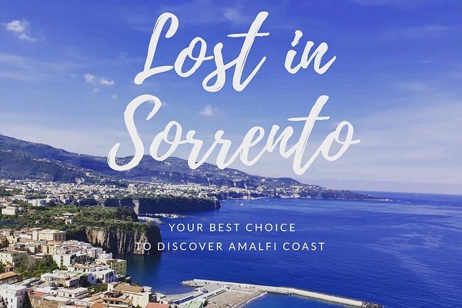 Private transfer from Naples to Sorrento with stop in Pompeii - Who should book this Naples to Sorrento ride?