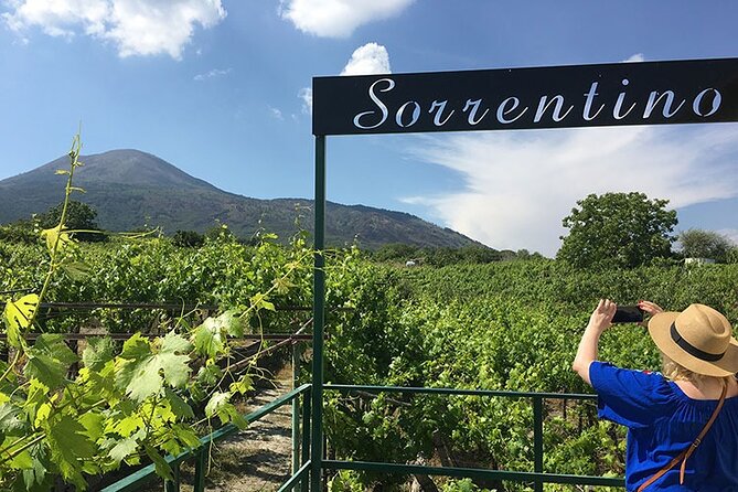 Private Wine Tour,lunch,8 wines, dedicated sommelier and trasport - From Naples to the volcanic slopes of Vesuvius