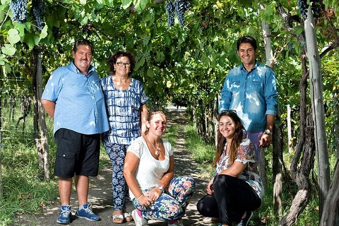 Private Wine Tour,lunch,8 wines, dedicated sommelier and trasport - A three-course lunch with eight Sorrentino wines