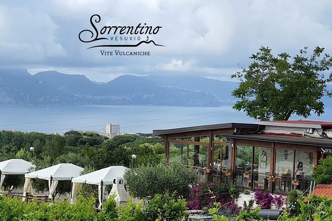Private Wine Tour,lunch,8 wines, dedicated sommelier and trasport - Is $313.77 per person a fair price?