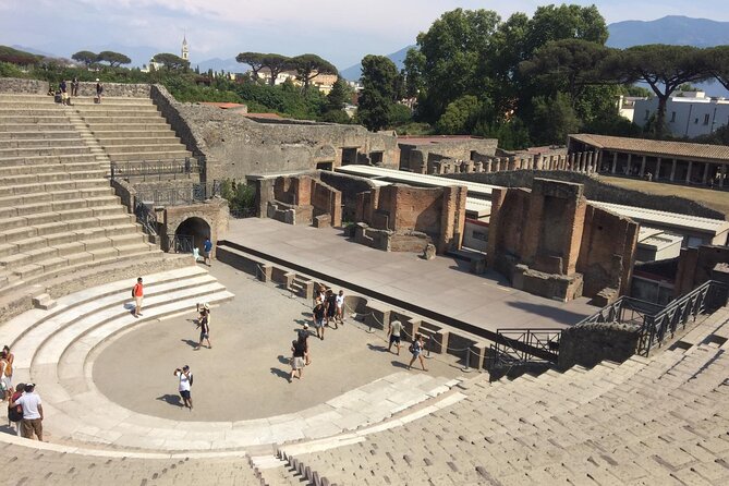 Round-Trip Shuttle Transfer from Naples to Pompeii - Communication, drivers, and group size