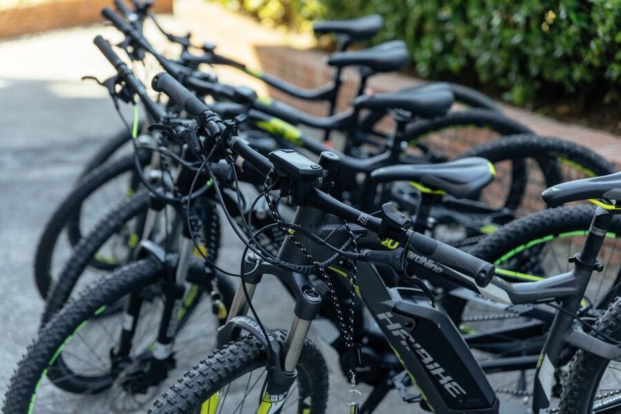 Scenic E-Bike Ride with Vineyard Wine & Meal - From Naples to the waterfront of Pozzuoli